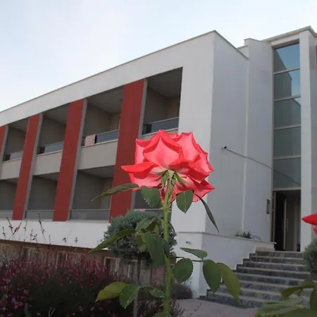 Daire Saygin Konya