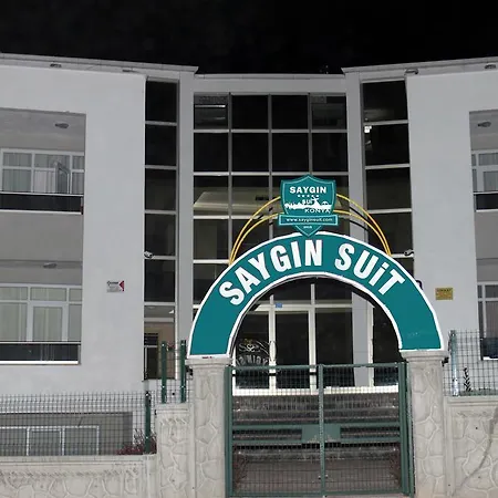 Saygin Daire *
